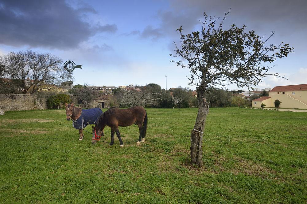 Bed and Breakfast Quinta Do Scoto Sintra Exterior foto
