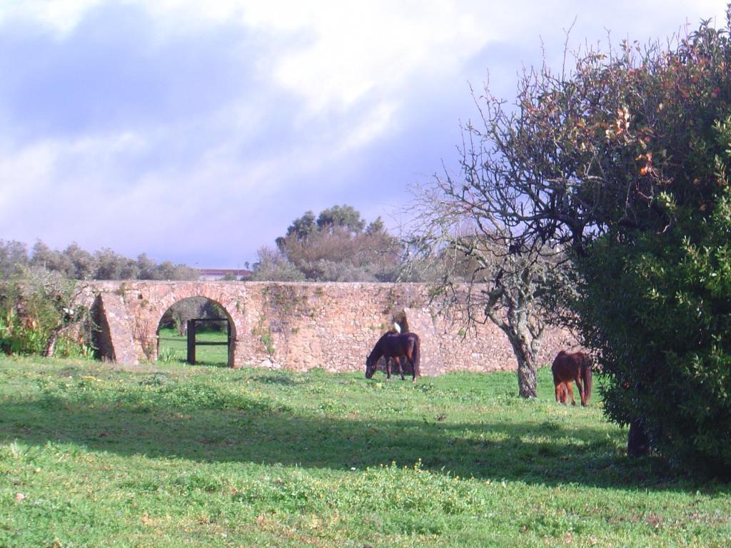 Bed and Breakfast Quinta Do Scoto Sintra Exterior foto